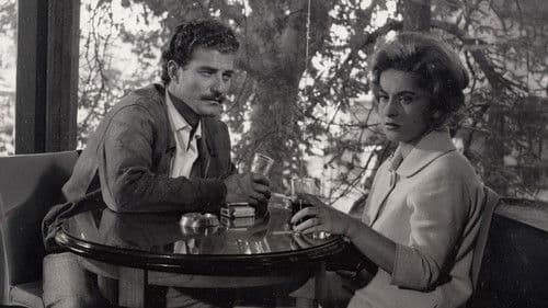 Kelebekler Çift Uçar Bild 1