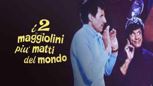 I due maggiolini più matti del mondo Bild 2