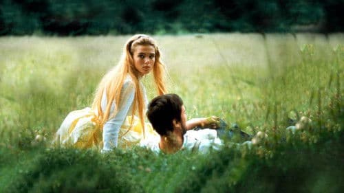 Das Ende einer großen Liebe Bild 3