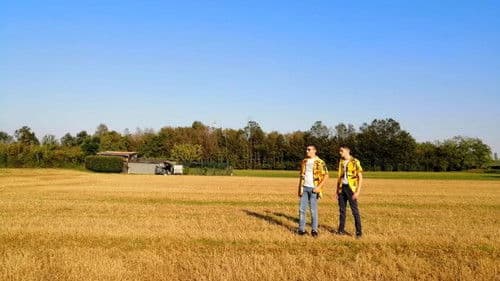 Il Notiziario delle 11 Bild 1