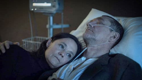 Bergman Revisited Bild 4