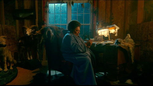 Don't Mess with Grandma Bild 7