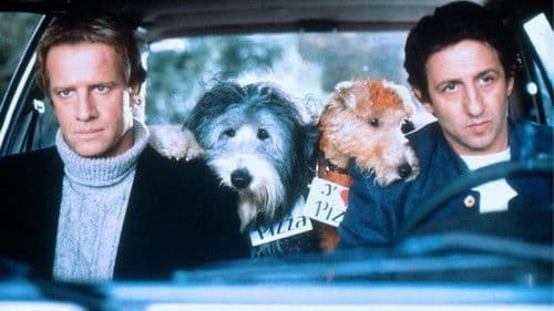 Herkules & Sherlock Bild 3