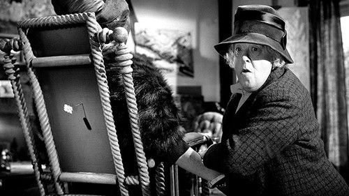 Der Wachsblumenstrauß Bild 3