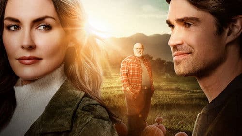 Kürbis-Chaos in der Heimat Bild 1