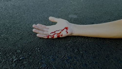 Ecos Do Silêncio Bild 1