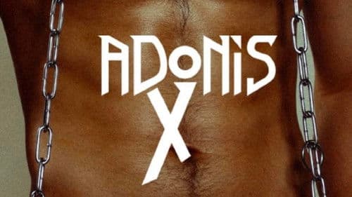 Adonis X Bild 2