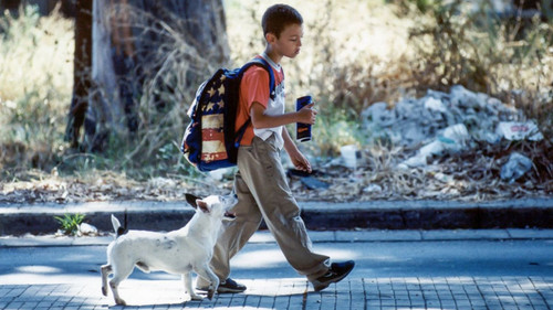 La guerra di Mario Bild 1