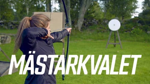 Mästarkvalet Bild 1