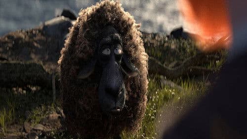 Cosmos Laundromat Bild 3