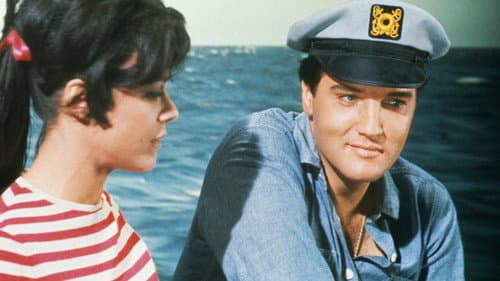 Seemann ahoi! Bild 1