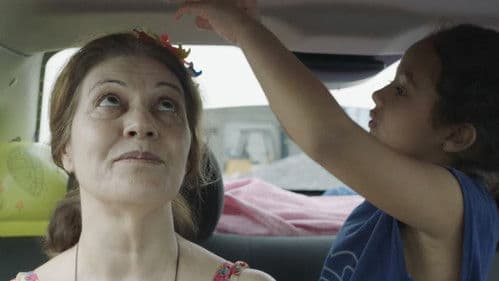 A Felicidade das Coisas Bild 3