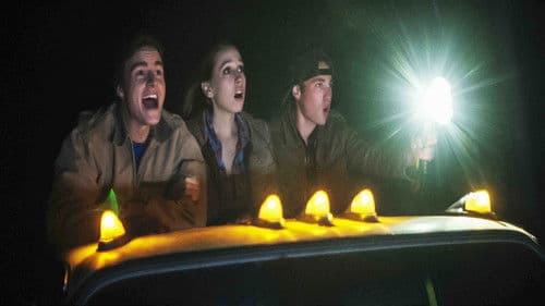 Was nach der Ernte bleibt Bild 2