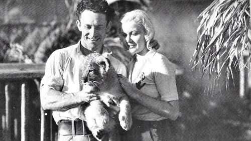 The Lost Jungle Bild 1