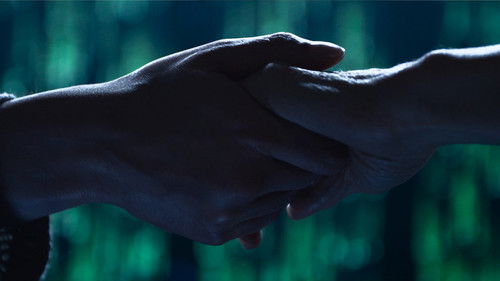 Matrix Resurrections Bild 5