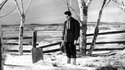 Der junge Mr. Lincoln Bild 1