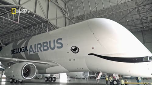 Megastructures: Airbus Beluga XL Bild 6