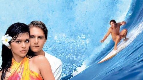 North Shore - Die Wellenreiter von Hawaii Bild 1