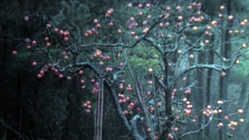 Элегия дороги Bild 1