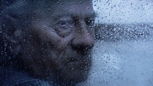 Das Summen der Insekten Bild 1