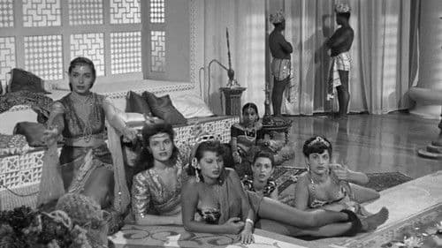 Era lui, sì, sì! Bild 7