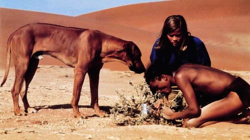 Die Spur des Windes Bild 5