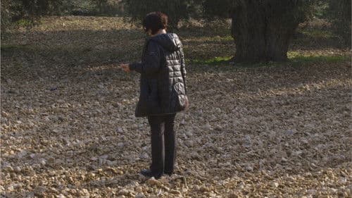 Something from There Bild 1