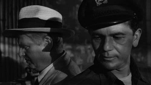 Menschenschmuggel Bild 6