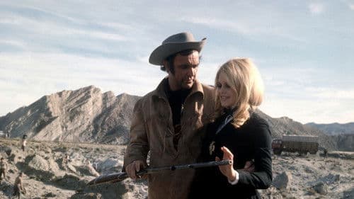 Man nennt mich Shalako Bild 5