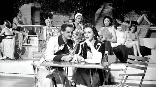 Der Blaufuchs Bild 4