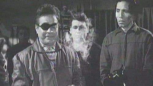 القط الأسود Bild 2