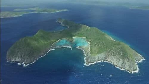 Wild Caribbean Bild 1