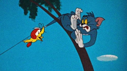 Tom auf Vogeljagd Bild 1