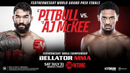 Bellator 263: Pitbull vs. McKee Bild 1