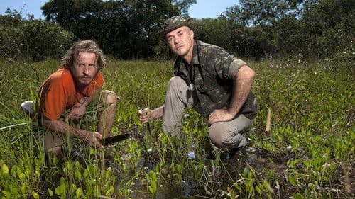 Desafio em Dose Dupla Brasil Bild 4