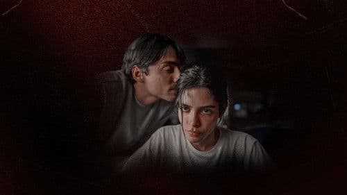 Dias Perfeitos Bild 8