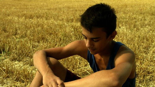 Juillet électrique Bild 2