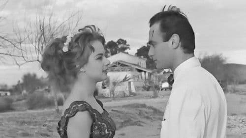 Διακοπές στην Αίγινα Bild 4