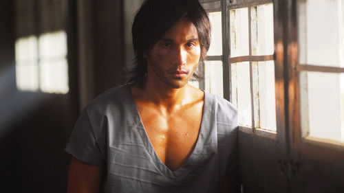 Serigala Terakhir Bild 2