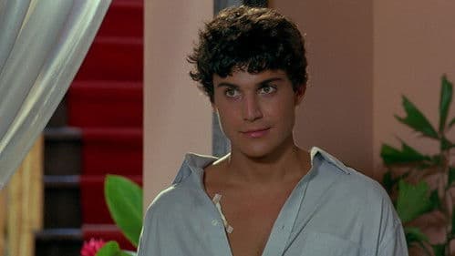 Una rosa de Francia Bild 2