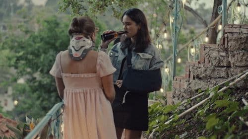 Positive Reinforcement Bild 2