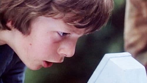 The Battle of Billy's Pond Bild 1