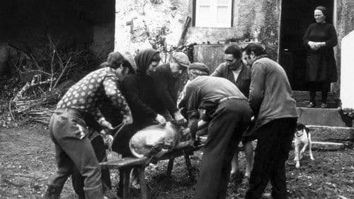 Nós Por Cá Todos Bem Bild 1