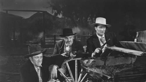 Der Draufgänger von Boston Bild 5