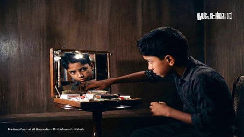 ന്യൂസ്‌പേപ്പർബോയ് Bild 1