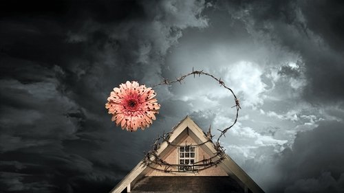 Petals on the Wind Bild 2