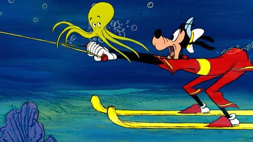 Der Freizeitkapitän Bild 3