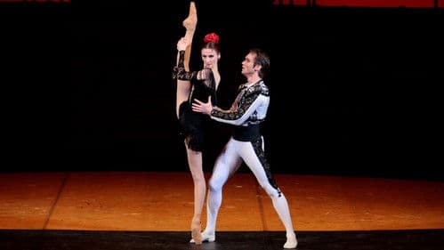 Bolshoi Ballet: Carmen Suite / Petrushka Bild 4