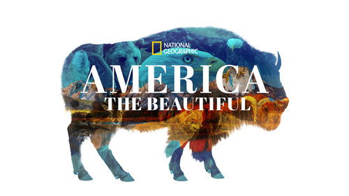 Das schöne Amerika Bild 2