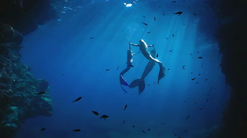 K3 en het Lied van de Zeemeermin Bild 1